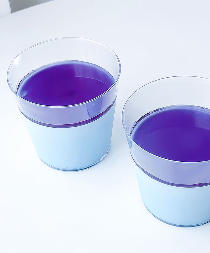 Panna cotta